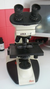 veterinaire cagnes microscope