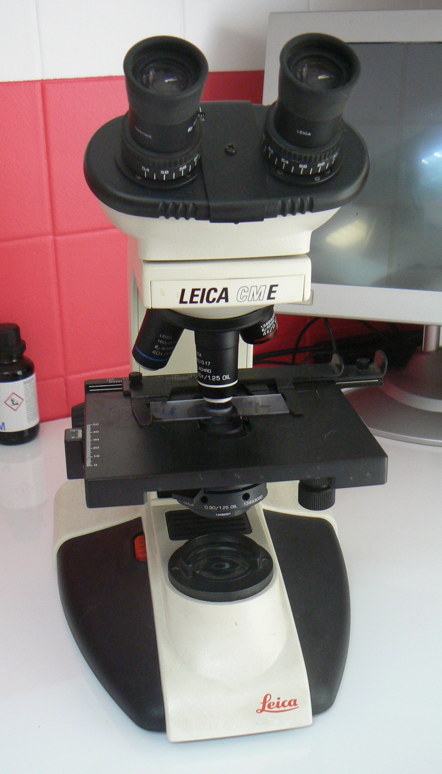 Microscope binoculaire - Clinique Vétérinaire de La Rivière des Pluies
